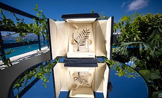 Der Hauptpreis des Filmfestivals in Cannes: die Goldene Palme. - Foto: Vianney Le Caer/Invision/AP/dpa Der Hauptpreis des Filmfestivals in Cannes: die Goldene Palme. - Foto: Vianney Le Caer/Invision/AP/dpa