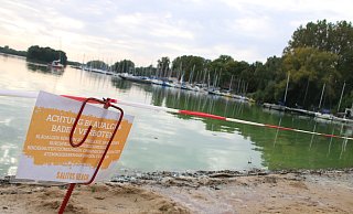 Auch vom Eisklang am Salitos Beach aus dürfen Gäste derzeit nicht ins Wasser. Stattdessen blicken die Gäste aufs Wasser mit grüner Färbung. - Rajkumar Mukherjee Auch vom Eisklang am Salitos Beach aus dürfen Gäste derzeit nicht ins Wasser. Stattdessen blicken die Gäste aufs Wasser mit grüner Färbung. - Rajkumar Mukherjee