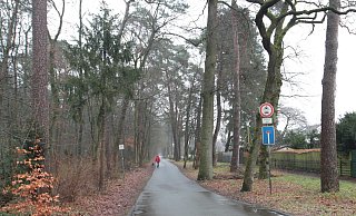Am Schützenweg liegen einige Sportstätten in Bad Lippspringe. Für mehr Parkplätze oder eine mögliche Verlegung des Kurwaldstadions müssten auch Bäume gefällt werden. - Uwe Müller (Archiv) Am Schützenweg liegen einige Sportstätten in Bad Lippspringe. Für mehr Parkplätze oder eine mögliche Verlegung des Kurwaldstadions müssten auch Bäume gefällt werden. - Uwe Müller (Archiv)