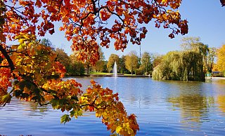 Malerisch sind die Blätter im Steinmeisterpark in Bünde in bunte Farben getaucht. - Verena Freiberg Malerisch sind die Blätter im Steinmeisterpark in Bünde in bunte Farben getaucht. - Verena Freiberg