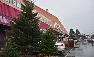 Die Hornbach Filiale in Paderborn-Schloss Neuhaus ist nur noch für Gewerbetreibende geöffnet. - Sara Mattana Die Hornbach Filiale in Paderborn-Schloss Neuhaus ist nur noch für Gewerbetreibende geöffnet. - Sara Mattana