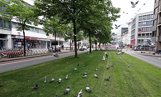 Die linke Spur mit den Taxiplätzen am Niederwall soll frei bleiben für eine Rampe zu einem denkbaren Fahrradparkhaus unter dem Jahnplatz. Die Taxen sollen rechts vor dem neuen Rathaus halten. - Wolfgang Rudolf Die linke Spur mit den Taxiplätzen am Niederwall soll frei bleiben für eine Rampe zu einem denkbaren Fahrradparkhaus unter dem Jahnplatz. Die Taxen sollen rechts vor dem neuen Rathaus halten. - Wolfgang Rudolf