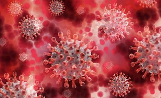 Mehr als 700 Bielefelder sind derzeit in Quarantäne. - Pixabay Mehr als 700 Bielefelder sind derzeit in Quarantäne. - Pixabay