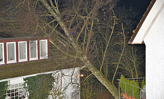 In Höxter stürzte ein Baum auf ein Haus und beschädigte das Dach. - Thomas Kube In Höxter stürzte ein Baum auf ein Haus und beschädigte das Dach. - Thomas Kube