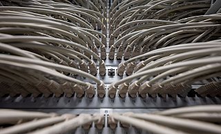 Netzwerkkabel in einem Höchstleistungsrechenzentrum. Die Mehrheit der Menschen in Deutschland erwartet von einer künftigen Ampelkoalition keine wirksamen Fortschritte bei der Digitalisierung der öffentlichen Verwaltung in Deutschland. - Foto: Marijan Murat/dpa Netzwerkkabel in einem Höchstleistungsrechenzentrum. Die Mehrheit der Menschen in Deutschland erwartet von einer künftigen Ampelkoalition keine wirksamen Fortschritte bei der Digitalisierung der öffentlichen Verwaltung in Deutschland. - Foto: Marijan Murat/dpa