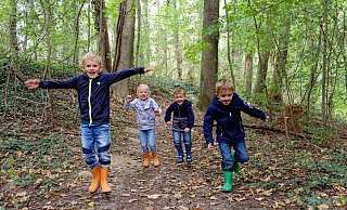Hinnerk (v.l.), Stine, Julian und Leon toben durch den Wald. Und wenn das Eichhörnchen Wuschel es vorgibt, springen sie auf den Wegen. - Andreas Sundermeier Hinnerk (v.l.), Stine, Julian und Leon toben durch den Wald. Und wenn das Eichhörnchen Wuschel es vorgibt, springen sie auf den Wegen. - Andreas Sundermeier
