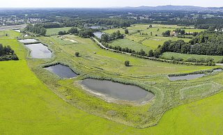 Die Rieselfelder Windel liegen nördlich der Siedlung Windflöte und der A33. - Stiftung Rieselfelder Die Rieselfelder Windel liegen nördlich der Siedlung Windflöte und der A33. - Stiftung Rieselfelder