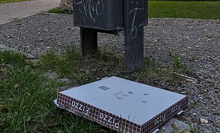 So sieht es bislang aus: Pizzakartons verstopfen die herkömmlichen Mülleimer in den Parks oder fliegen diekt daneben. - Felix Brenneke So sieht es bislang aus: Pizzakartons verstopfen die herkömmlichen Mülleimer in den Parks oder fliegen diekt daneben. - Felix Brenneke