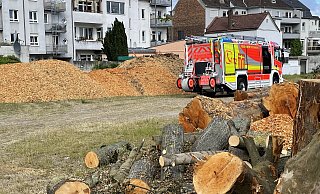 In den Mengen geschredderter Grünabfälle kam es auf dem Parkplatz an der Florianstraße zu natürlichen Gärprozessen und einer leichten Rauchentwicklung. - Ralph Meyer In den Mengen geschredderter Grünabfälle kam es auf dem Parkplatz an der Florianstraße zu natürlichen Gärprozessen und einer leichten Rauchentwicklung. - Ralph Meyer