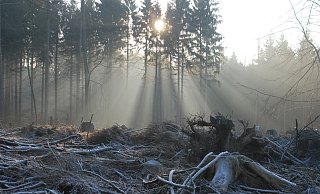 Auch das Wiehengebirge eignet sich für den Tourismus. - Werner Sterwerf Auch das Wiehengebirge eignet sich für den Tourismus. - Werner Sterwerf