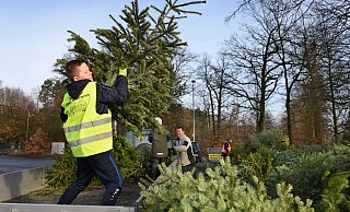 Und weg damit: Eric Fromme wirft einen Baum vom Transporter. - Barbara Franke Und weg damit: Eric Fromme wirft einen Baum vom Transporter. - Barbara Franke