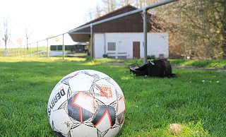 Nachdem die Millionen-Investitionen für einen Kunstrasenplatz in Bredenborn (Foto) und den Umbau des Vereinsheimes in Kollerbeck abgelehnt wurden, sollen nun Nutzungsvereinbarungen mit allen Sportvereinen geschlossen werden. - David Schellenberg Nachdem die Millionen-Investitionen für einen Kunstrasenplatz in Bredenborn (Foto) und den Umbau des Vereinsheimes in Kollerbeck abgelehnt wurden, sollen nun Nutzungsvereinbarungen mit allen Sportvereinen geschlossen werden. - David Schellenberg