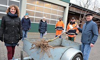 Klaus Beier (r.) freut sich über einen Sauerkirschbaum, den er mit dem Hänger transportiert. Imke Heidotting (v.l.), Nina Pape und Sandra Langer vom Stadtmarketing sowie die Bauhofmitarbeiter Marcel Siek und Uwe Lüke können noch viele andere Bürger mit Jubiläumsbäumen erfreuen. - Karin Prignitz Klaus Beier (r.) freut sich über einen Sauerkirschbaum, den er mit dem Hänger transportiert. Imke Heidotting (v.l.), Nina Pape und Sandra Langer vom Stadtmarketing sowie die Bauhofmitarbeiter Marcel Siek und Uwe Lüke können noch viele andere Bürger mit Jubiläumsbäumen erfreuen. - Karin Prignitz
