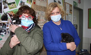 Die Beiden hatten Glück: Die Katzenbabys, die Renate Siekkötter (l.) und Kathrin Sander hier auf dem Arm haben, kamen in gutem Zustand ins Tierheim. Häufig erleben die Tierschützer aber Erschreckendes. - Gregor Winkler Die Beiden hatten Glück: Die Katzenbabys, die Renate Siekkötter (l.) und Kathrin Sander hier auf dem Arm haben, kamen in gutem Zustand ins Tierheim. Häufig erleben die Tierschützer aber Erschreckendes. - Gregor Winkler