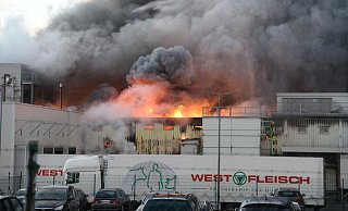 Der Westfleisch-Schlachthof wurde bei dem Großbrand im Februar 2016 völlig zerstört. - Archivfoto: Marc Köppelmann Der Westfleisch-Schlachthof wurde bei dem Großbrand im Februar 2016 völlig zerstört. - Archivfoto: Marc Köppelmann