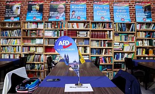 Die AfD liegt in Sachsen-Anhalt klar hinter der CDU. - Foto: Jan Woitas/dpa Die AfD liegt in Sachsen-Anhalt klar hinter der CDU. - Foto: Jan Woitas/dpa