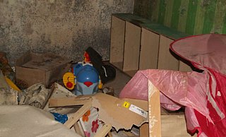 In der vermüllten Wohnung fand der Vermieter zurückgelassene Haustiere (Symbolfoto). - Symbolfoto dpa In der vermüllten Wohnung fand der Vermieter zurückgelassene Haustiere (Symbolfoto). - Symbolfoto dpa