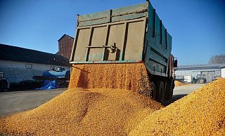Agrarexporte der Ukraine haben für Unmut bei Bauern in der EU gesorgt. (Archivbild) - ---/Ukrinform/dpa Agrarexporte der Ukraine haben für Unmut bei Bauern in der EU gesorgt. (Archivbild) - ---/Ukrinform/dpa