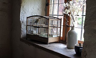 Manchmal hinterlassen verstorbene Bielefelder außergewöhnliche Dinge - und Lebewesen. - Manfred Antranias Zimmer/Pixabay Manchmal hinterlassen verstorbene Bielefelder außergewöhnliche Dinge - und Lebewesen. - Manfred Antranias Zimmer/Pixabay