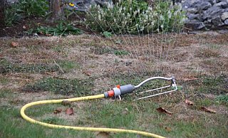 Grün braucht Wasser: Experten geben Tipps, wie der Garten mit wenig Wasser auch bei heißen Temperaturen schön bleibt. - Regina Brucksch Grün braucht Wasser: Experten geben Tipps, wie der Garten mit wenig Wasser auch bei heißen Temperaturen schön bleibt. - Regina Brucksch