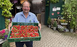 Obstbauer Karsten Otte präsentiert eine Kiste Erdbeeren, die erntefrisch im hofeigenen Laden und an den übrigen Stände im Kreis Herford verkauft werden. - Benedikt Riemer Obstbauer Karsten Otte präsentiert eine Kiste Erdbeeren, die erntefrisch im hofeigenen Laden und an den übrigen Stände im Kreis Herford verkauft werden. - Benedikt Riemer