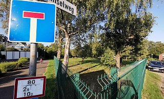 Zum Flachsland/Amselstraße: Dort wo heute noch Schafe grasen, soll ein Wohngebiet entstehen. - Susanne Barth Zum Flachsland/Amselstraße: Dort wo heute noch Schafe grasen, soll ein Wohngebiet entstehen. - Susanne Barth
