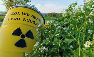 Dass Würgassen künftig zur Drehscheibe für Atommüll aus ganz Deutschland werden soll, erhitzt in der Region die Gemüter. - Dirk Wilhelm Dass Würgassen künftig zur Drehscheibe für Atommüll aus ganz Deutschland werden soll, erhitzt in der Region die Gemüter. - Dirk Wilhelm
