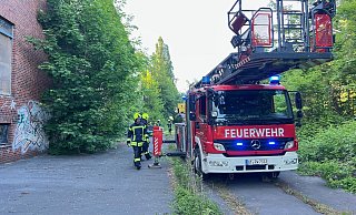 Die Einsatzkräfte der Feuerwehr mussten den Brandherd im Kreis Gütersloh zunächst lokalisieren, bevor die Löscharbeiten starten konnten. - Thorsten Heß Die Einsatzkräfte der Feuerwehr mussten den Brandherd im Kreis Gütersloh zunächst lokalisieren, bevor die Löscharbeiten starten konnten. - Thorsten Heß