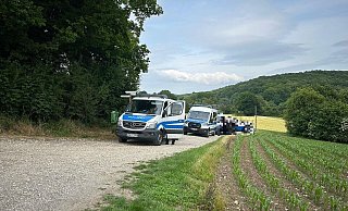 Am Freitagabend wurde in einem kleinen Waldstück in Halle im Kreis Gütersloh eine Leiche gefunden. Das Gebiet hatte eine Hundertschaft im Zuge der Suchmaßnahmen bereits in den Blick genommen (Archivbild). - Tobias Barrelmeyer Am Freitagabend wurde in einem kleinen Waldstück in Halle im Kreis Gütersloh eine Leiche gefunden. Das Gebiet hatte eine Hundertschaft im Zuge der Suchmaßnahmen bereits in den Blick genommen (Archivbild). - Tobias Barrelmeyer