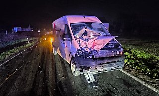 Blutspuren an der Front des Sprinters zeugen von dem Zusammenstoß mit dem Pferd. - privat Blutspuren an der Front des Sprinters zeugen von dem Zusammenstoß mit dem Pferd. - privat