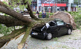 Dieses Auto ist mittig von einem Baum getroffen worden, der durch den Tornado umgeweht wurde. - Holger Kosbab Dieses Auto ist mittig von einem Baum getroffen worden, der durch den Tornado umgeweht wurde. - Holger Kosbab