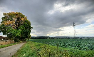 Direkt an der Tongrube Sommersell (l.) sollen neue Windräder entstehen. Im Hintergrund drehen sich die Anlagen zwischen Bredenborn und Holzhausen. - David Schellenberg Direkt an der Tongrube Sommersell (l.) sollen neue Windräder entstehen. Im Hintergrund drehen sich die Anlagen zwischen Bredenborn und Holzhausen. - David Schellenberg