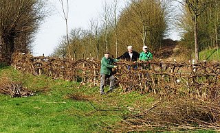 Natürliche Einfriedung: Die dichte Nieheimer Flechthecke erübrigt den Weidezaun und bietet sowohl den Nutz- als auch den Wildtieren zusätzliche Nahrung und natürlichen Schutz. - Josef Köhne Natürliche Einfriedung: Die dichte Nieheimer Flechthecke erübrigt den Weidezaun und bietet sowohl den Nutz- als auch den Wildtieren zusätzliche Nahrung und natürlichen Schutz. - Josef Köhne