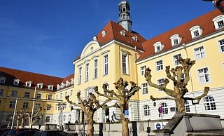 Trotz beschränkten Zugangsbedingungen wegen Corona wird das Rathaus am Wahlsonntag ab 18 Uhr geöffnet sein. - Stadt Herford Trotz beschränkten Zugangsbedingungen wegen Corona wird das Rathaus am Wahlsonntag ab 18 Uhr geöffnet sein. - Stadt Herford