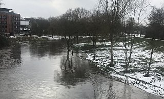 Die Werre hat in diesen Tagen den höchsten Wasserstand seit etwa einem Jahr. - Dirk Windmöller Die Werre hat in diesen Tagen den höchsten Wasserstand seit etwa einem Jahr. - Dirk Windmöller