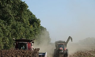 Ein Mähdrescher und ein Traktor der deutschen Agrarfirma UIFK Agro in der Ukraine bei der Sonnenblumenernte. - Friedemann Kohler/dpa Ein Mähdrescher und ein Traktor der deutschen Agrarfirma UIFK Agro in der Ukraine bei der Sonnenblumenernte. - Friedemann Kohler/dpa