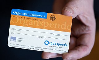 Im Ringen um mehr lebensrettende Organspenden kommt ein neuer Anlauf für Änderungen der Spenderegeln in Gang. - Hendrik Schmidt/dpa Im Ringen um mehr lebensrettende Organspenden kommt ein neuer Anlauf für Änderungen der Spenderegeln in Gang. - Hendrik Schmidt/dpa