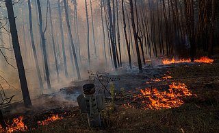 Waldbrände in der Ukraine, die viel Treibhausgase freisetzen, werden oft durch Gefechte ausgelöst. (Archivbild) - Evgeniy Maloletka/AP/dpa Waldbrände in der Ukraine, die viel Treibhausgase freisetzen, werden oft durch Gefechte ausgelöst. (Archivbild) - Evgeniy Maloletka/AP/dpa