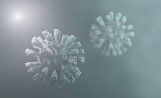 Der Inzidenzwert lag noch Ende Juni bei unter 1 und ist seitdem wieder deutlich gestiegen - nicht zuletzt wegen der Virus-Mutationsfälle. - Symbolbild Corona-Krise/Delta-Variante: Pixabay Der Inzidenzwert lag noch Ende Juni bei unter 1 und ist seitdem wieder deutlich gestiegen - nicht zuletzt wegen der Virus-Mutationsfälle. - Symbolbild Corona-Krise/Delta-Variante: Pixabay