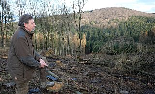 Förster Jürgen Rolfs schaut auf eine etwa fünf Hektar große Kahlfläche am Eggeweg im Wiehengebirge südwestlich des Lübbecker Krankenhauses. - Kirsten Tirre Förster Jürgen Rolfs schaut auf eine etwa fünf Hektar große Kahlfläche am Eggeweg im Wiehengebirge südwestlich des Lübbecker Krankenhauses. - Kirsten Tirre