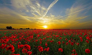 Die nächsten Tage soll es heiter bis sonnig werden in Nordrhein-Westfalen. (Symbolbild) - Pixabay Die nächsten Tage soll es heiter bis sonnig werden in Nordrhein-Westfalen. (Symbolbild) - Pixabay