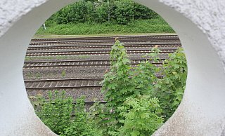Für einen Ausbau der ICE-Trasse fordern Bahn-Planer bislang mehr Platz - auch in Löhne wo schon sehr viel Raum mit Gleisen belegt ist. Die SPD-OWL widerspricht. - Ulf Hanke Für einen Ausbau der ICE-Trasse fordern Bahn-Planer bislang mehr Platz - auch in Löhne wo schon sehr viel Raum mit Gleisen belegt ist. Die SPD-OWL widerspricht. - Ulf Hanke