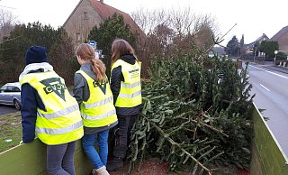 Der CJVM sammelt wieder die ausrangierten Weihnachtsbäume ein. - Archivfoto: CVJM Der CJVM sammelt wieder die ausrangierten Weihnachtsbäume ein. - Archivfoto: CVJM
