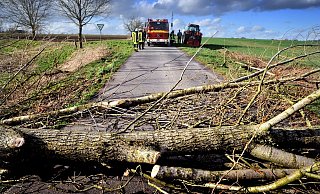 Der DWD warnt vor herabstürzenden Ästen, Dachziegeln oder anderen Gegenständen. - Symbolfoto: Andreas Frücht Der DWD warnt vor herabstürzenden Ästen, Dachziegeln oder anderen Gegenständen. - Symbolfoto: Andreas Frücht