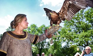 Falknerin Yvonne Legetth (47) präsentiert den Besuchern des Sparrenburgfestes ihren prächtigen Steppenadler Joldas. - Barbara Franke Falknerin Yvonne Legetth (47) präsentiert den Besuchern des Sparrenburgfestes ihren prächtigen Steppenadler Joldas. - Barbara Franke