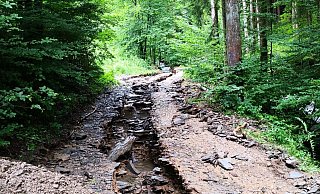 Ein nach dem starken Regen zerstörter Waldweg im Sauerland in der Region um die Stadt Olpe. - Wald und Holz NRW/dpa Ein nach dem starken Regen zerstörter Waldweg im Sauerland in der Region um die Stadt Olpe. - Wald und Holz NRW/dpa