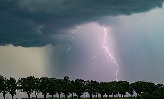 Über Teile von OWL sind in der Nacht Unwetter gezogen. - Patrick Pleul/dpa Über Teile von OWL sind in der Nacht Unwetter gezogen. - Patrick Pleul/dpa
