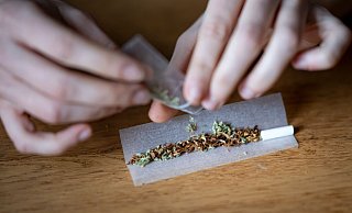 Die Ampel-Parteien wollen Cannabis für den Genuss legalisieren. - Foto: Fabian Sommer/dpa Die Ampel-Parteien wollen Cannabis für den Genuss legalisieren. - Foto: Fabian Sommer/dpa