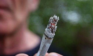 Das Cannabis-Gesetz der Ampel-Koalition kann wie vorgesehen am 1. April in Kraft treten. - Karl-Josef Hildenbrand/dpa Das Cannabis-Gesetz der Ampel-Koalition kann wie vorgesehen am 1. April in Kraft treten. - Karl-Josef Hildenbrand/dpa
