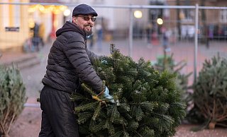 Schirmmütze, Zwirbelbart und getönte Brille - so steht Jens Klawitter jedes Jahr zur Adventszeit auf dem Siegfriedplatz und verkauft weibliche Fichten, die gut riechen und Nordmänner, die im Alter attraktiver werden. - Oliver Krato Schirmmütze, Zwirbelbart und getönte Brille - so steht Jens Klawitter jedes Jahr zur Adventszeit auf dem Siegfriedplatz und verkauft weibliche Fichten, die gut riechen und Nordmänner, die im Alter attraktiver werden. - Oliver Krato